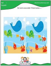 okul öncesi İki Resim Arasındaki Farkı Bul